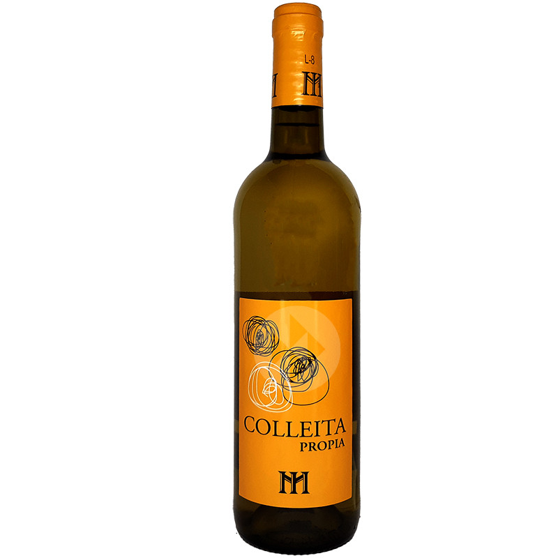 VINO BLANCO ALBARIÑO COLLEITA PROPIA 